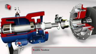 Salvatore Robuschi Mechanical Seal Arrangement [upl. by Coyle]