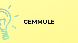 What is the meaning of the word GEMMULE [upl. by Naz481]