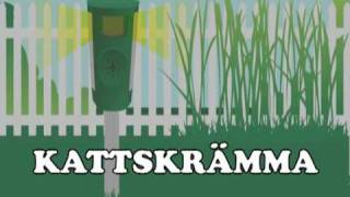 Kattskrämman wwwmotavackse [upl. by Euqinim]