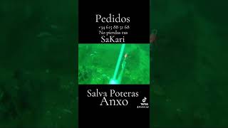 Salva Poteras [upl. by Alisia]