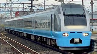 特急 海浜公園コキア高崎号 E653系 K71編成 倉賀野駅通過 [upl. by Murielle17]