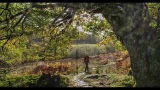 Autumn in Gwydir Forest [upl. by Godart103]