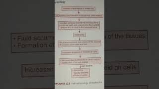 Pathophysiology of mastoiditis   AHN notes [upl. by Anirtep507]