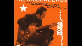 Joe Strummer amp The Mescaleros Coma Girl [upl. by Feilak231]