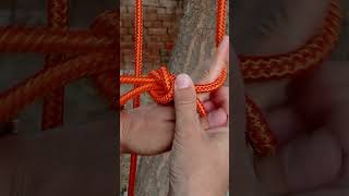 Alpine Butterfly Loop Knot Use short rope knot survivalknots loopknot [upl. by Eetnom664]