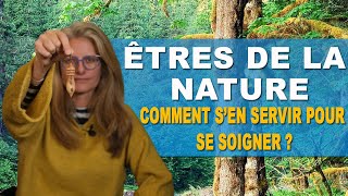 êtres de la nature comment s’en servir pour se soigner [upl. by Narhet]