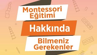 Montessori Eğitimi Hakkında Bilmeniz Gerekenler [upl. by Spatz203]