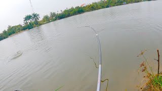 The river fish is so loud fishing like this is so cool [upl. by Williamson]