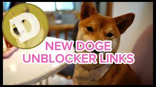 Doge unblocker links School chromebook proxy [upl. by Olsson112]