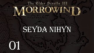 MORROWIND 100 FR  01  Seyda Nihyn [upl. by Lizned697]