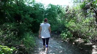 Barton Creek Greenbelt Trail EndHill Of Life Trailhead [upl. by Derna]