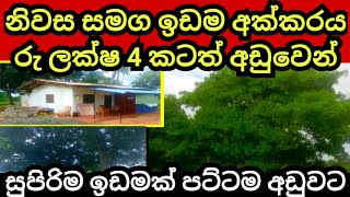 අක්කරයක් ලක්ෂ 4 කටත් වඩා අඩුවට  Cashew land  Land for sale  House for sale  Aduwata idam [upl. by Evette154]