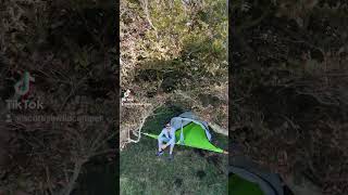 Wild camping Scotland Tentsile Connect tree tent ‎TentsileLtd camping treetent wildcamping [upl. by Eiclek]