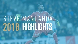 Steve Mandanda ses meilleurs arrêts de la saison 2018 [upl. by Menell372]