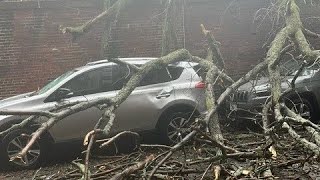 Trees down roads flooded as noreaster slams Massachusetts [upl. by Stevens]