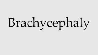 How to Pronounce Brachycephaly [upl. by Freeman]