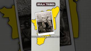 Indias Unknown Irula Tribes  shorts viral tribes [upl. by Yerffoj]