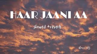 Haar jaani aa lofi  reverb [upl. by Ardnuek]