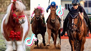 The Cutest HORSES Equestrian TikTok Compilation 149 [upl. by Wobniar704]