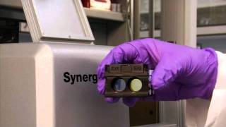 BIOTEK SYNERGY H1 DEMO [upl. by Williams678]