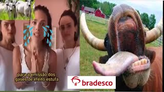 Olha só 🤣Bradesco tá AGRO quotBAGARAIquot Comercial NOVO do Bradesco amando o AGRO [upl. by Emmerie439]