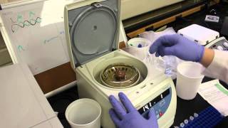 Using a Centrifuge [upl. by Tamar]