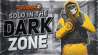 The BEST SOLO DARK ZONE Build in The Division 2 RIGHT NOW [upl. by Leuqram]