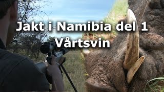 Jakt i Namibia del 1  Vårtsvin warthog hunting [upl. by Yenoh]