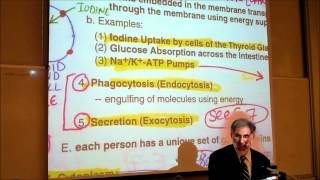 BIOLOGY CYTOLOGY PART 2 by Professor Fink [upl. by Lenni]