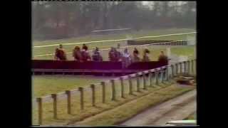 1981 Eider Handicap Chase [upl. by Hearsh]