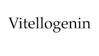 How to Pronounce Vitellogenin [upl. by Onej]