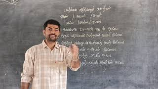 படர்க்கை எதிர்மறைச் சொற்கள்  அல்லன் அல்லள் அல்லர்  tnpsc tamil grammar  8th tamil [upl. by Esoranna645]