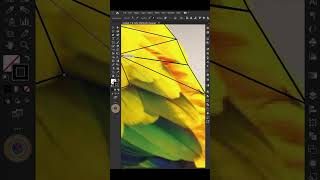 Low Poly Art Colorful Bird in Illustrator  shorts graphicdesign lowpolyart [upl. by Ike]