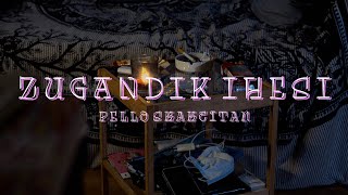 DUPLA  Zugandik ihesi ft Pello Skakeitan Visualizer [upl. by Strain]