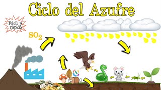 ♻️ Ciclo del Azufre 💥 Fácil y Rápido  BIOLOGÍA [upl. by Eycats]