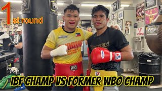 Marlon Tapales Vs Jerwin Ancajas Sparring preparation vs Teshigawara [upl. by Rexferd374]