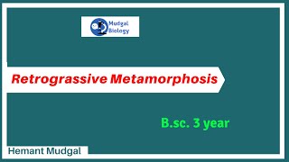 Retrogressive Metamorphosis  Urochordata  zoology  Mudgalbiology [upl. by Beghtol816]