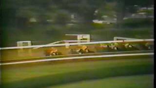 The 1970 Travers Stakes won by Loud Ruffians parttime body double [upl. by Eenalem]