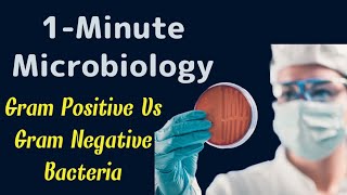 1  Minute Microbiology  Gram Positive Vs Gram Negative Bacteria Differences [upl. by Nohtiek323]