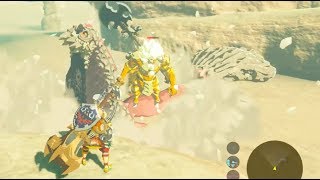 Breath of the Wild Molduga vs Gold Lynel [upl. by Nairim456]