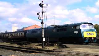 Severn Valley Railway Kidderminster Town D1015 THRASHING out on the 5th October 2024 [upl. by Ahsratan]