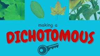 How to Make A Dichotomous Key [upl. by Anrev141]