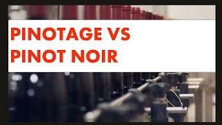 Pinotage vs Pinot Noir Whats the Difference [upl. by Orfield]