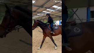 On en parle de mes talons comment ils sont grave bas😅 horse equestrian [upl. by Anibur]