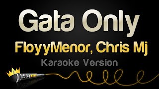 FloyyMenor Chris Mj  Gata Only Karaoke Version [upl. by Oflodor358]