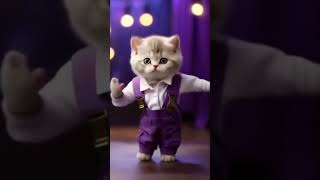 Cats Dancing To Cute Music [upl. by Pineda468]