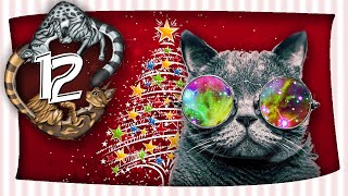 Drogen für Katzen  Miauender Adventskalender  Tag 12  mit Miri [upl. by Suiravad]