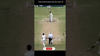 Best of Ashes cricket ashes england australia [upl. by Notsrik223]