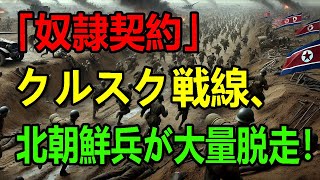 【戦況分析】📢北朝鮮兵が戦線から逃亡⁉️ ロシアとの裏の協力が暴露される！ その目的とは？ ウクライナ北朝鮮  最新ニュースNJP [upl. by Anircam747]