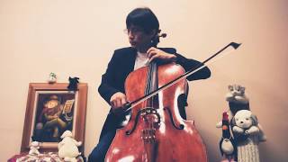 RSchumann Cello Concerto 《Piatigorskys cadenza》 [upl. by Ethelin]